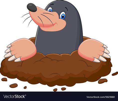 Cartoon cute mole Royalty Free Vector Image - VectorStock