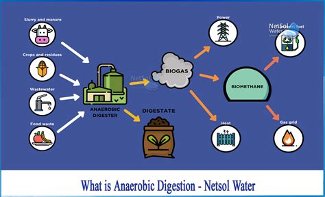 What is anaerobic digestion - Netsol Water