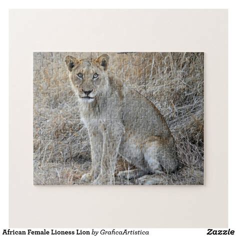 African Female Lioness Lion Jigsaw Puzzle | Jigsaw puzzles, Jigsaw, Lion