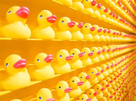 Why Rubber Ducking is One of Your Greatest Resources as a Developer