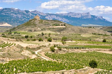 25 Best Rioja Wineries You Can't Miss in 2024