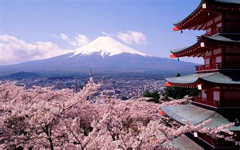 Kyoto Cherry Blossom Desktop Wallpapers - Top Free Kyoto Cherry Blossom ...