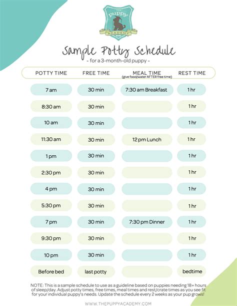 Potty Training Schedule, Puppy Schedule, Potty Training Puppy, Dog ...