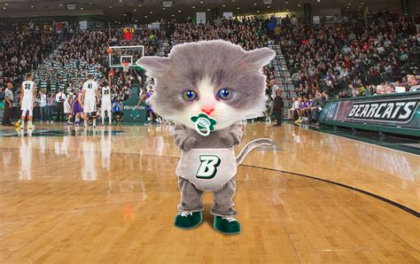 Binghamton University announces new mascot: Baby Baxter | Binghamton News