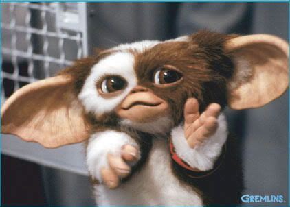 gizmo - Google Search | Cosplay - Gizmo | Pinterest | Gremlins, Search ...