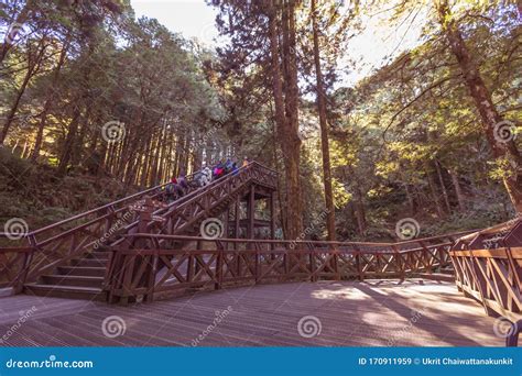 Alishan-Taiwan - DECEMBER 15TH, 2019. Tourists Walking in Alishan ...