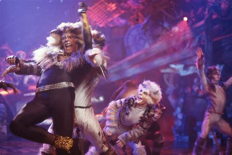 Cats on Screen - Cats the Musical | Cat movie, Cats cast, Pretty cats