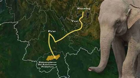 elephant-migration-china-map | Son Of China