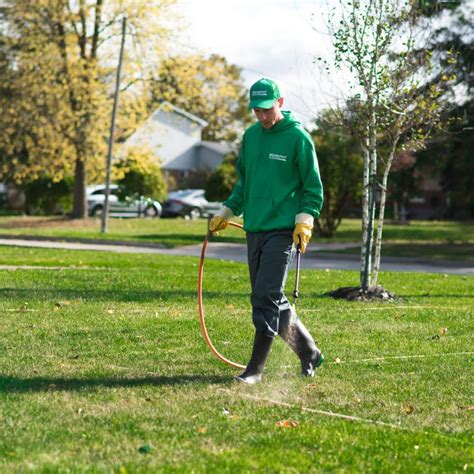 Benefits of Weed Control Lawn Care Services | Hometurf