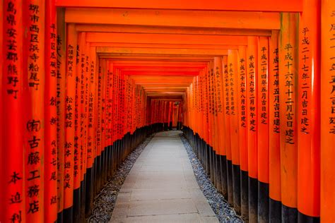 Fushimi Inari-taisha shrine gates Kyoto. [7090x4392][OC] | Kyoto, Kyoto ...