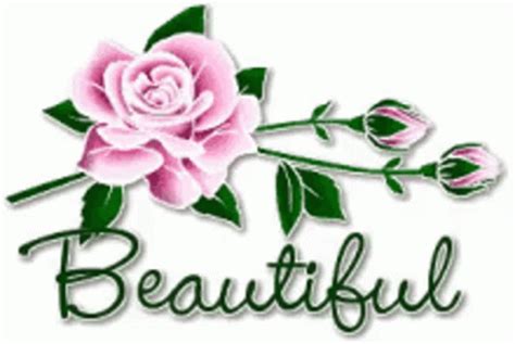 Beautiful Beauty GIF - Beautiful Beauty Flower - Discover & Share GIFs