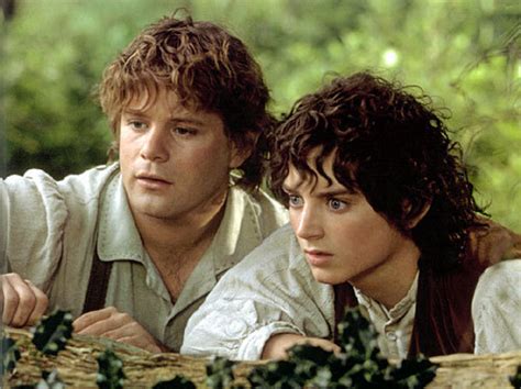 Frodo and Sam - Lord of the Rings Photo (3138646) - Fanpop