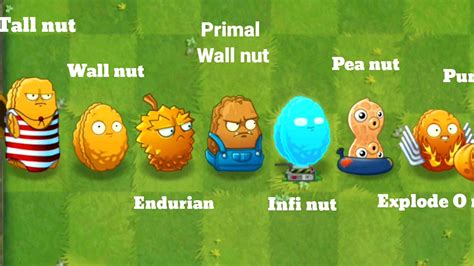 PvZ 2 All Nut Plants - Which plant has the best defense? - YouTube