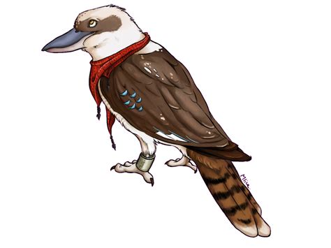 The Kookaburra + First try with Drawing Tablet + by x-Mlice on DeviantArt