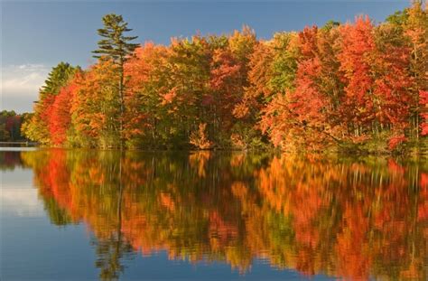 Leaf-Peeping Maine and Other Regional New England Fall Foliage