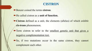 ULTRAFINE STRUCTURE OF A GENE | PPT