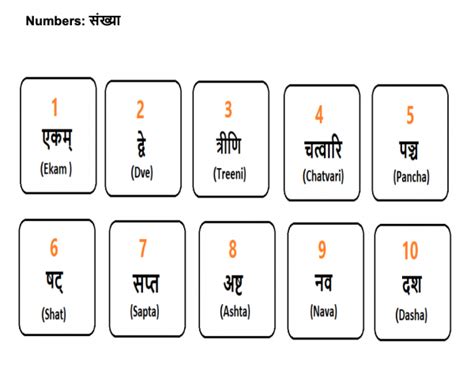 Beginners Guide to Sanskrit | vLearnLive Store