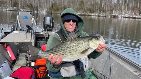 Winter Fishing for Striped Bass on Virginia's Lake Anna - YouTube