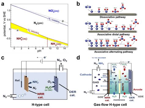 Catalysts | Free Full-Text | Recent Advances in Electrochemical ...