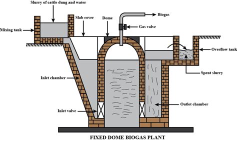 Explain the principle and working of a biogas plant using a labelled ...