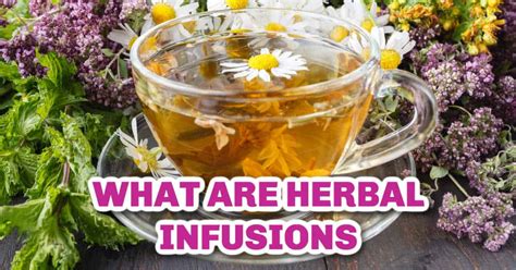 What Are Herbal Infusions and How to Make Them - Steeped Street