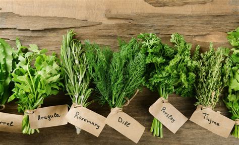 Dietician in Potch - Herbs