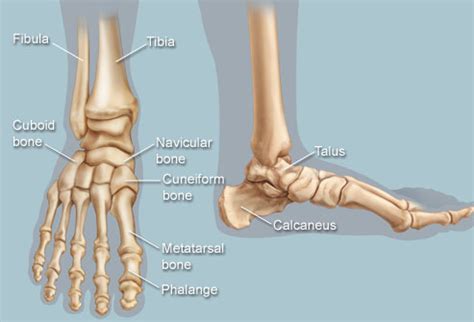 Foot - CorrindaUrja