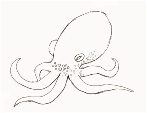 Octopus Drawing