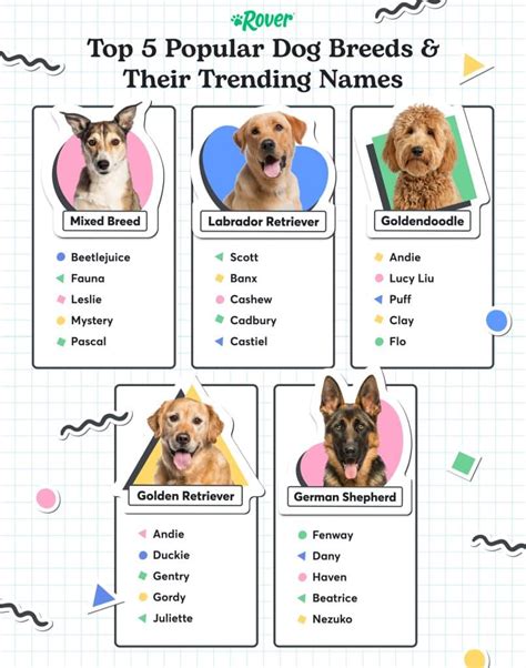 Most Popular Dog Names in the USA