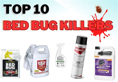 Top 10 Best Bed Bug Killer Products & Treatments - Lara's Bedside Tips