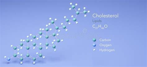 Cholesterol, Molecular Structures, Lipids, 3d Model, Structural ...