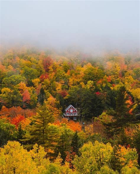 Your autumnal American pilgrimage, sorted. 📸 @phillmcdonald 📍 Maine ...