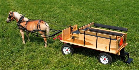 Pin by Ben Bruinius on wagons | Mini horse cart, Horse wagon, Horse cart