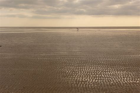 Morecambe Bay | Lakeland Walking Tales