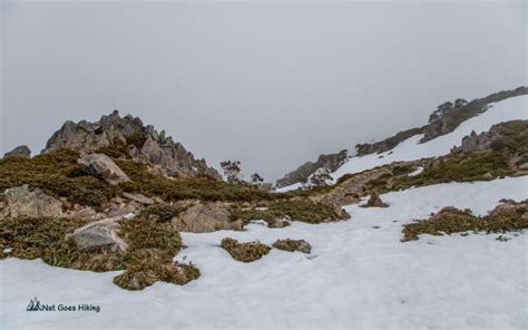 Mount Bogong Hike (Alpine National Park) - Nat Goes Hiking