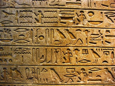 Learn Hieroglyphics When You Become a Volunteer Docent at HMNS ...