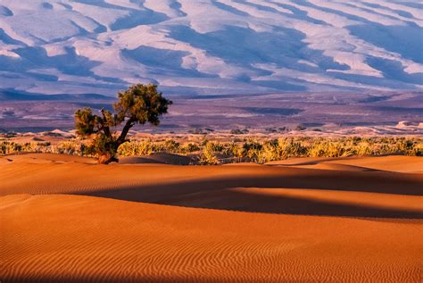 The village of Tamnougalt in the Draa River Valley of Morocco at one ...