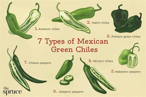 Types Of Mexican Green Chiles | atelier-yuwa.ciao.jp