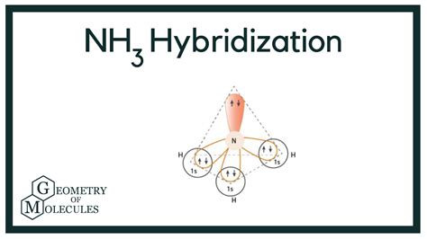 The Compound Nh3 Is Classified as Which of the Following - Bailey-has ...