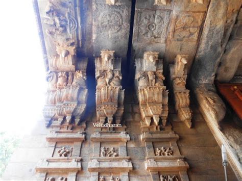 A Wandering Heritager: BHU VARAHA SWAMY TEMPLE, SRIMUSHNAM IN CUDDALORE ...