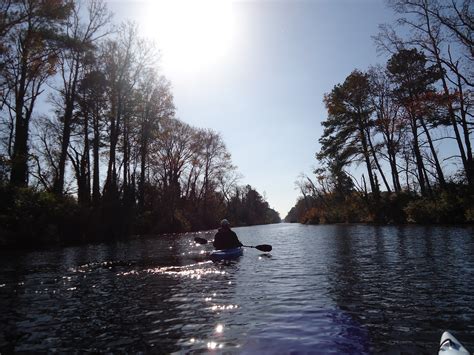 Kayak Virginia: The Great Dismal Swamp, Lake Drummond.