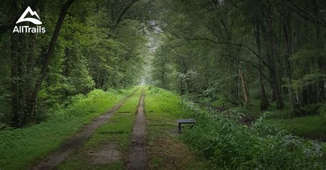 10 Best hikes and trails in Great Dismal Swamp National Wildlife Refuge ...