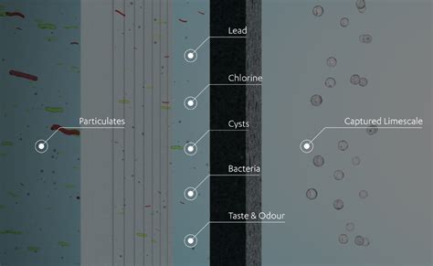 Zip MicroPurity Filtration | Chilled, Boiling & Sparkling Water Taps ...