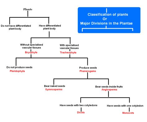 i need notes for the chapter diversity in living organisms - 3436327 ...