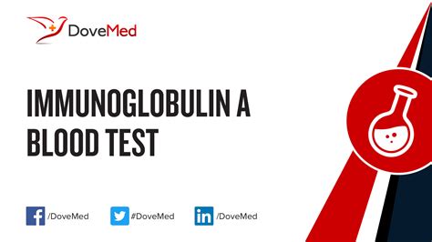 Immunoglobulin A (IgA) Blood Test