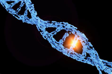 Genetic Variation Definition, Causes, and Examples