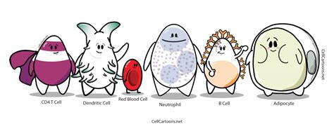 Cell Cartoons – Entertainment for Cell Biology Enthusiast