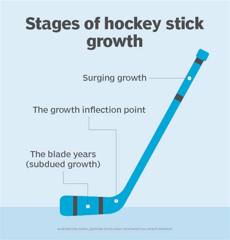 What is Hockey Stick Growth? - Definition from TechTarget.com