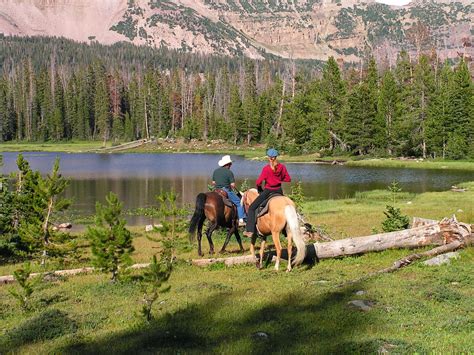 Dream Packer Trail Adventures: Mirror Lake Utah Horse Camping