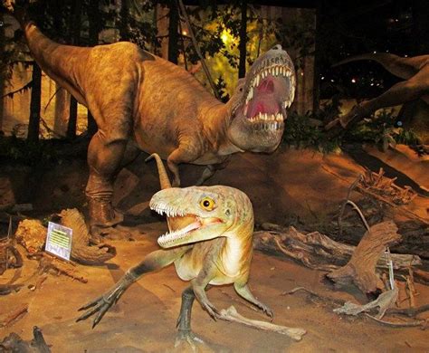 Dinosaurs at the Royal Tyrrell Museum in Drumheller, Alberta, Canada ...